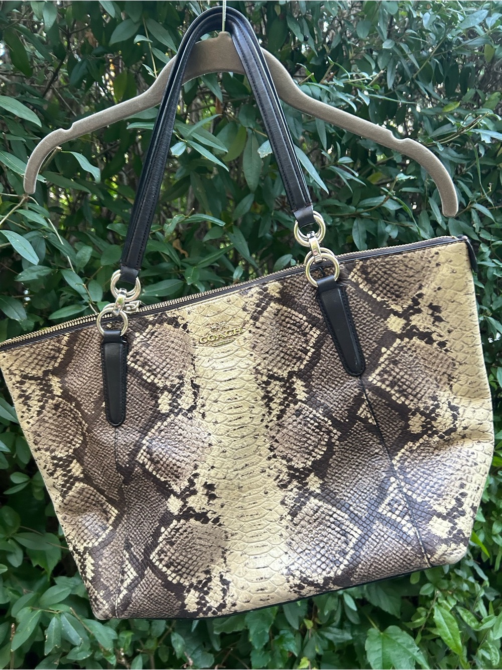 Coach Ava Tote in Python Embossed Leather Shoulder Bag